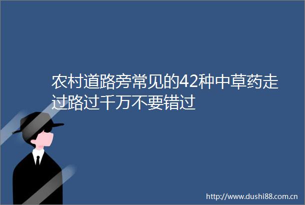 农村道路旁常见的42种中草药走过路过千万不要错过
