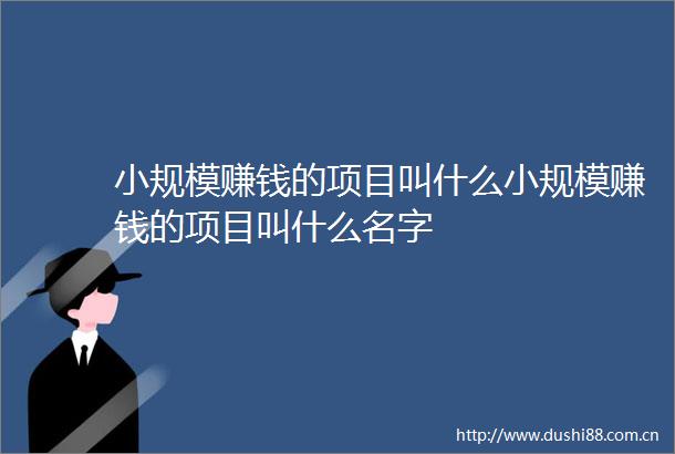 小规模赚钱的项目叫什么小规模赚钱的项目叫什么名字