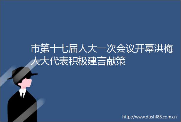 市第十七届人大一次会议开幕洪梅人大代表积极建言献策
