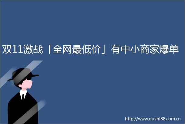 双11激战「全网最低价」有中小商家爆单