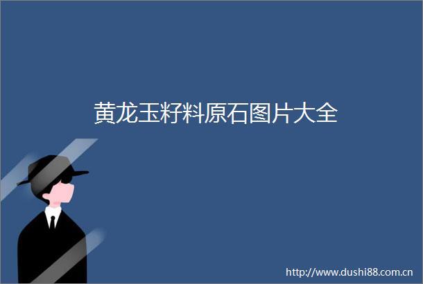 黄龙玉籽料原石图片大全