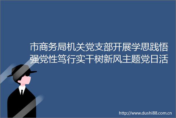 市商务局机关党支部开展学思践悟强党性笃行实干树新风主题党日活动组织讲授专题党课