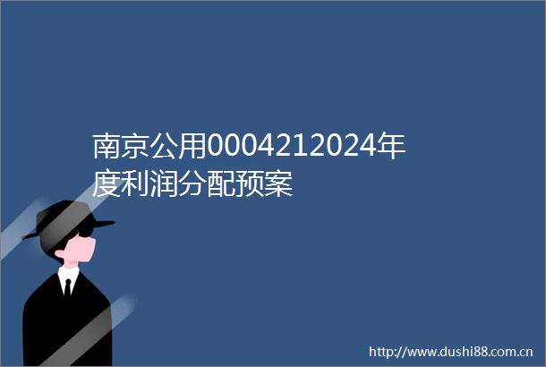 南京公用0004212024年度利润分配预案