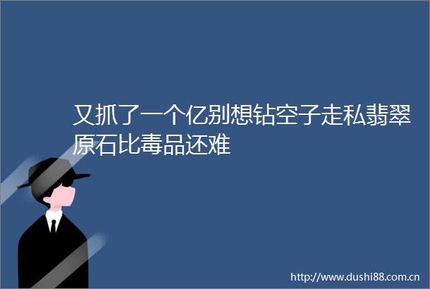 又抓了一个亿别想钻空子走私翡翠原石比毒品还难