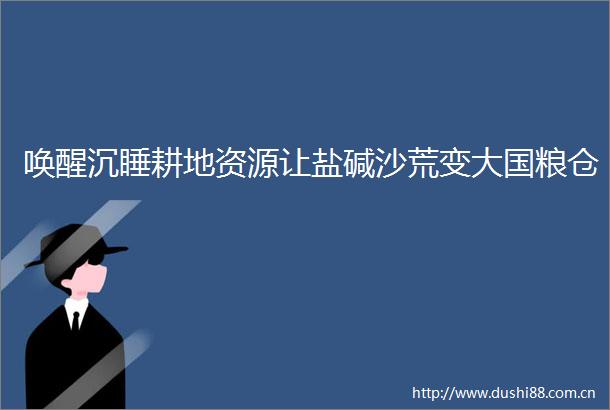 唤醒沉睡耕地资源让盐碱沙荒变大国粮仓