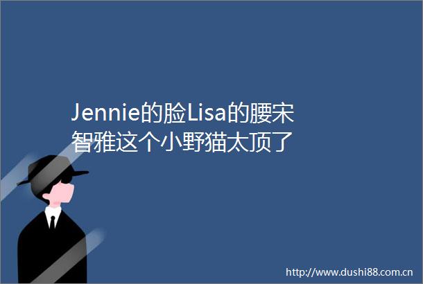 Jennie的脸Lisa的腰宋智雅这个小野猫太顶了