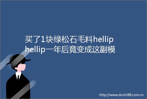 买了1块绿松石毛料helliphellip一年后竟变成这副模样