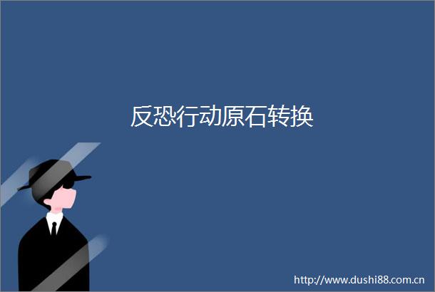 反恐行动原石转换