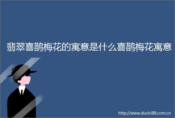 翡翠喜鹊梅花的寓意是什么喜鹊梅花寓意