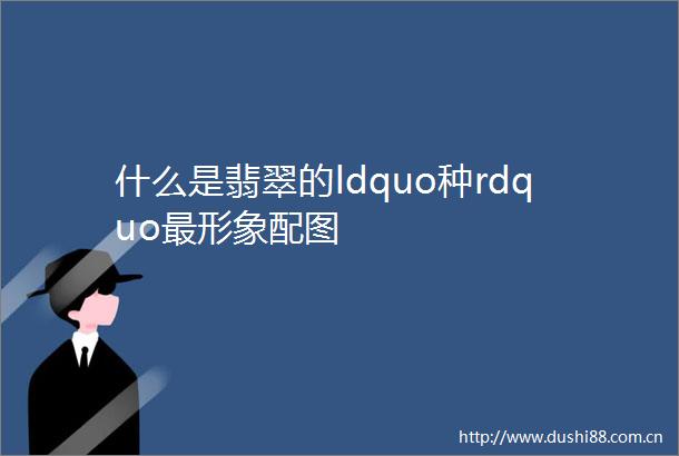 什么是翡翠的ldquo种rdquo最形象配图