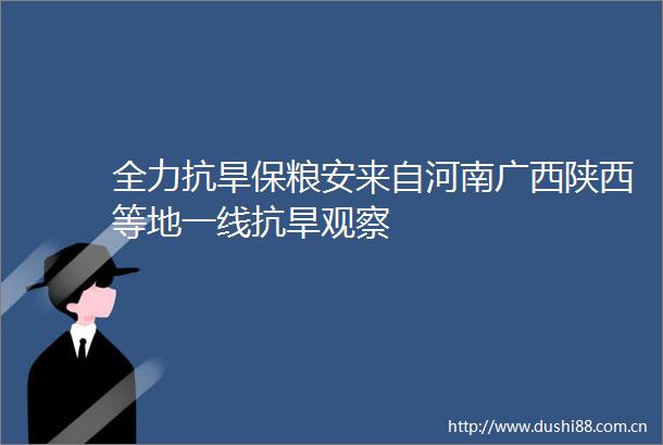 全力抗旱保粮安来自河南广西陕西等地一线抗旱观察