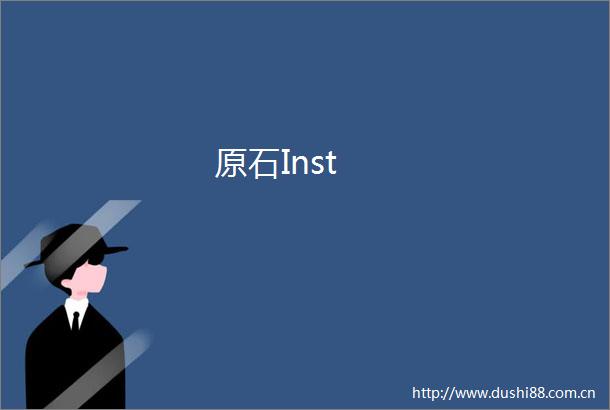 原石Inst