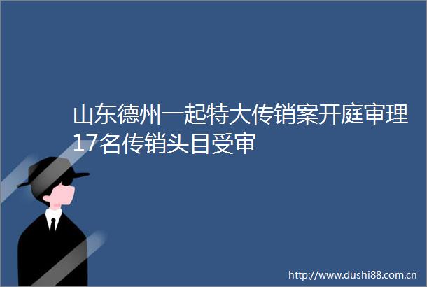山东德州一起特大案开庭审理17名头目受审