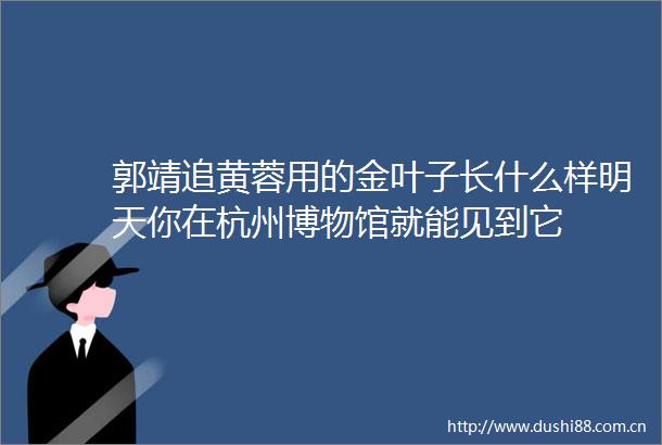 郭靖追黄蓉用的金叶子长什么样明天你在杭州博物馆就能见到它