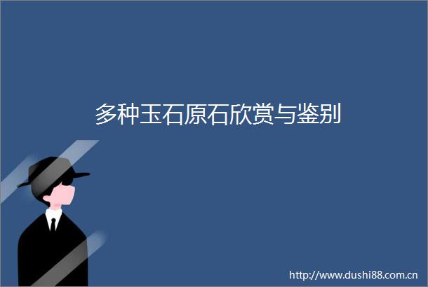 多种玉石原石欣赏与鉴别