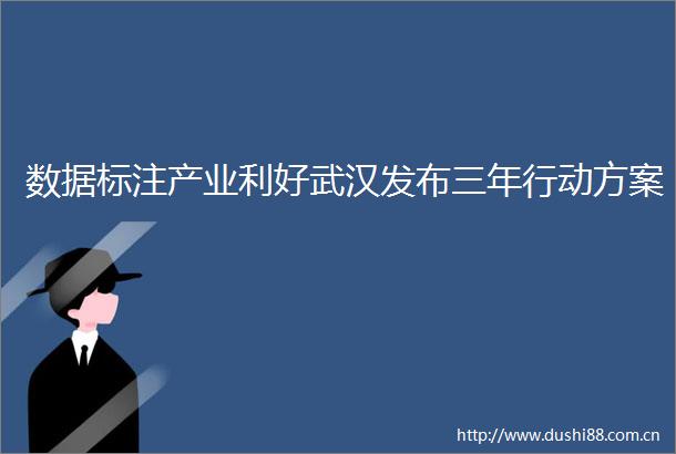 数据标注产业利好武汉发布三年行动方案