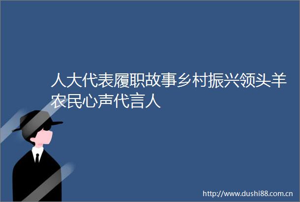 人大代表履职故事乡村振兴领头羊农民心声代言人