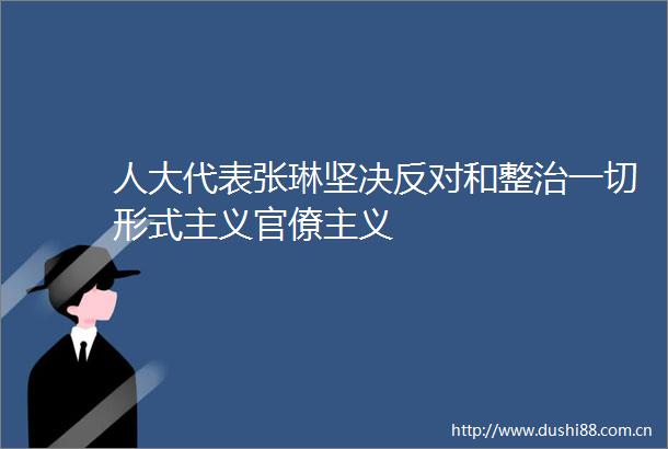 人大代表张琳坚决反对和整治一切形式主义官僚主义