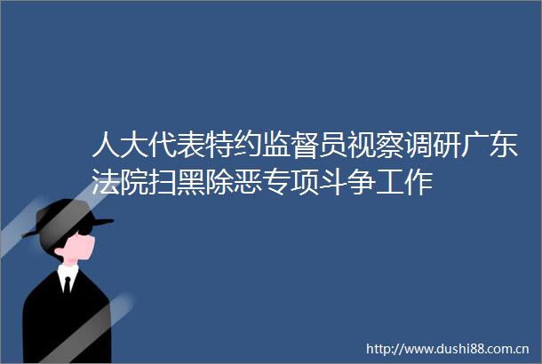 人大代表特约监督员视察调研广东扫黑除恶专项斗争工作