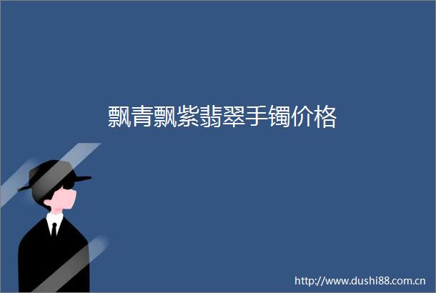 飘青飘紫翡翠手镯价格