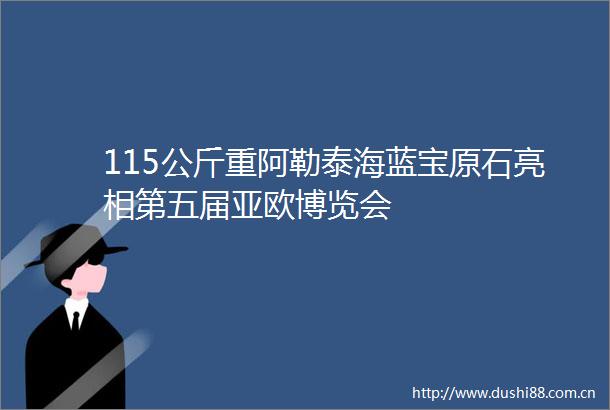 115公斤重阿勒泰海蓝宝原石亮相第五届亚欧博览会