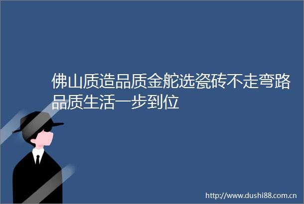 佛山质造品质金舵选瓷砖不走弯路品质生活一步到位
