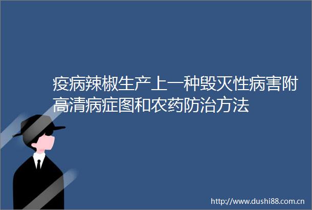 疫病辣椒生产上一种毁灭性病害附高清病症图和农药防治方法