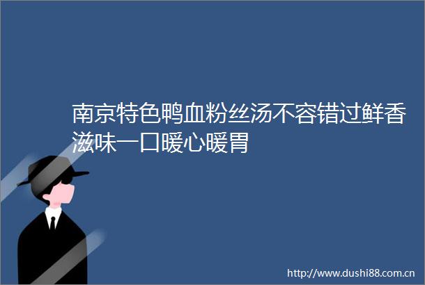 南京特色鸭血粉丝汤不容错过鲜香滋味一口暖心暖胃