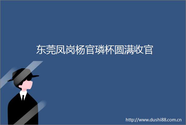 东莞凤岗杨官璘杯圆满收官