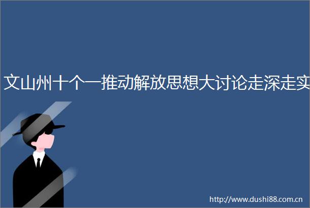 文山州十个一推动解放思想大讨论走深走实