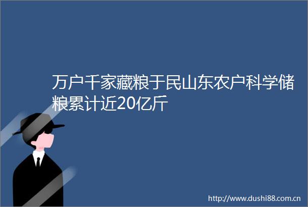 万户千家藏粮于民山东农户科学储粮累计近20亿斤