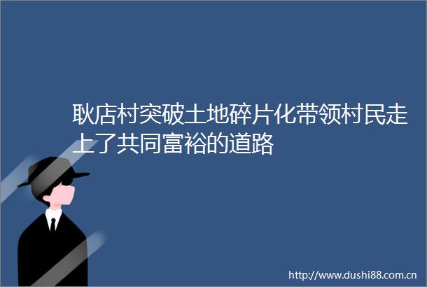 耿店村突破土地碎片化带领村民走上了共同富裕的道路