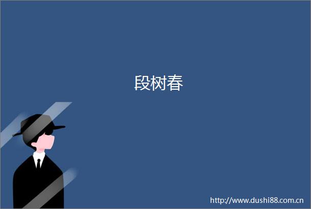 段树春