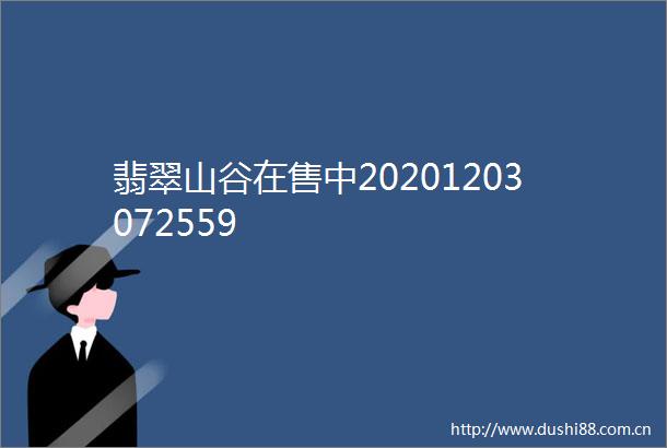 翡翠山谷在售中20201203072559