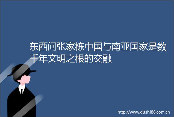 东西问张家栋与南亚是数千年文明之根的交融