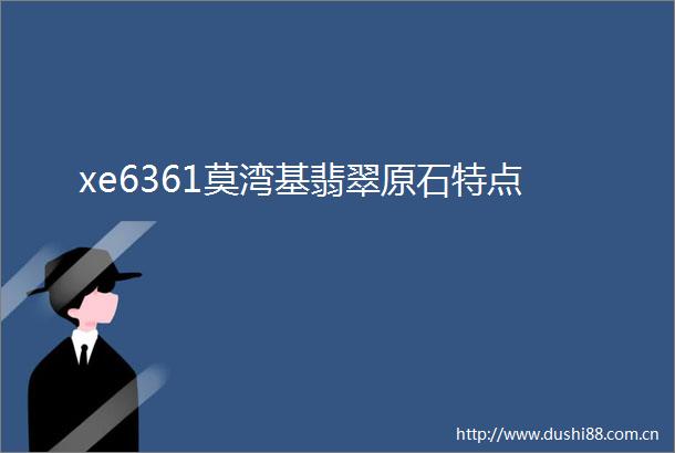xe6361莫湾基翡翠原石特点