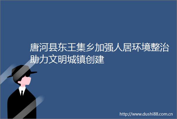 唐河县东王集乡加强人居环境整治助力文明城镇创建