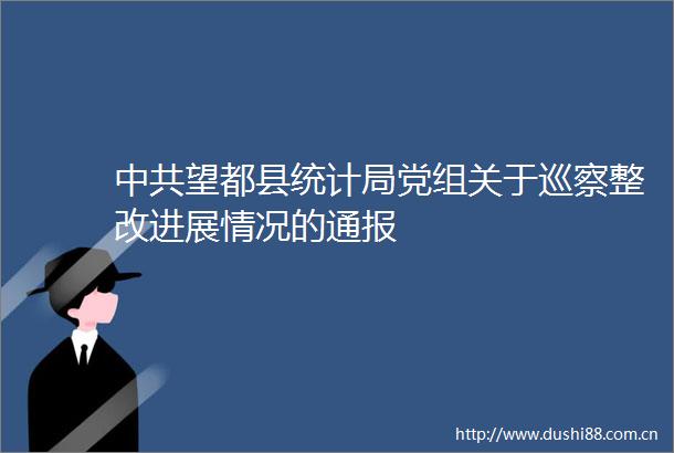 望都县统计局党组关于巡察整改进展情况的通报