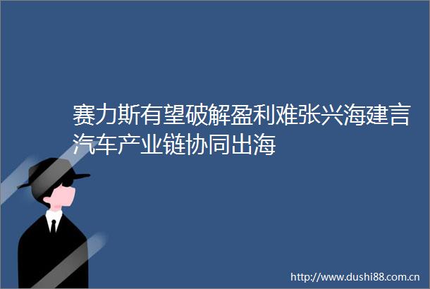 赛力斯有望破解盈利难张兴海建言汽车产业链协同出海