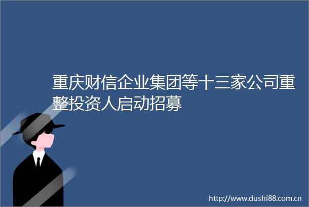 重庆财信企业集团等十三家公司重整投资人启动招募