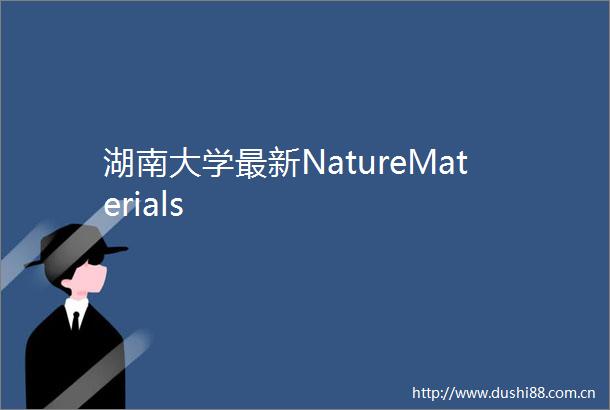湖南大学最新NatureMaterials
