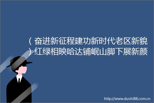（奋进新征程建功新时代老区新貌）红绿相映哈达铺岷山脚下展新颜