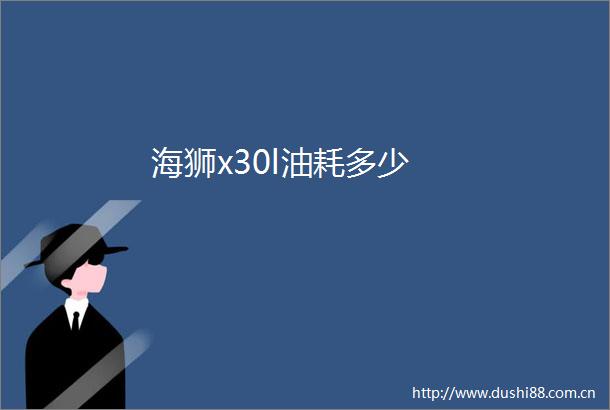 海狮x30l油耗多少
