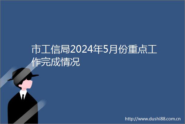 市工信局2024年5月份重点工作完成情况