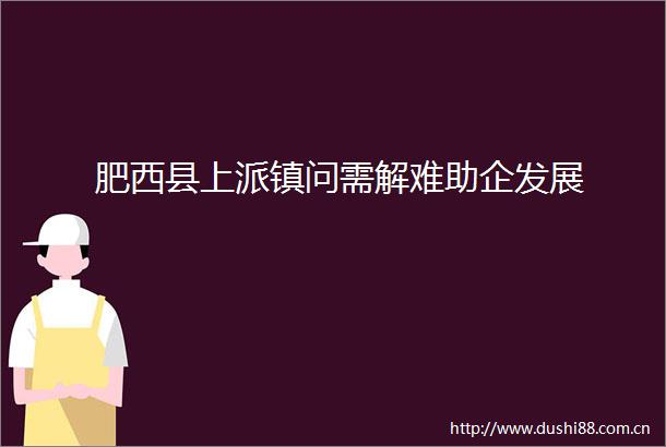肥西县上派镇问需解难助企发展