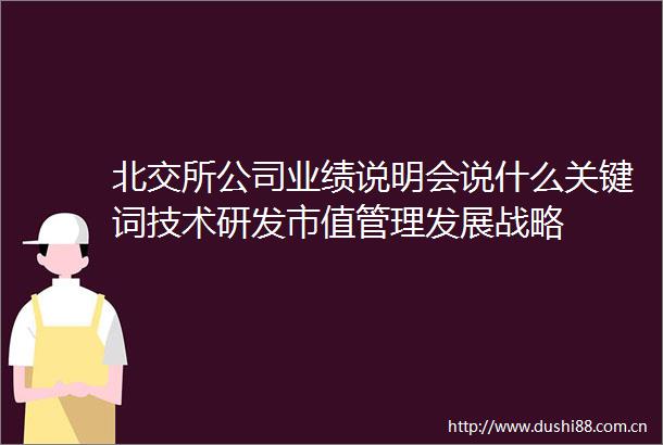 北交所公司业绩说明会说什么关键词技术研发市值管理发展战略