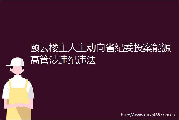 颐云楼主人主动向省纪委投案能源高管涉