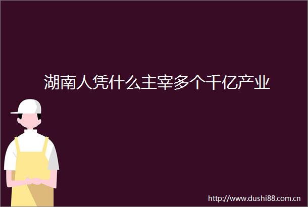 湖南人凭什么主宰多个千亿产业