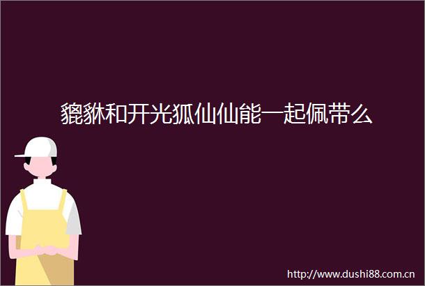 貔貅和开光狐仙仙能一起佩带么