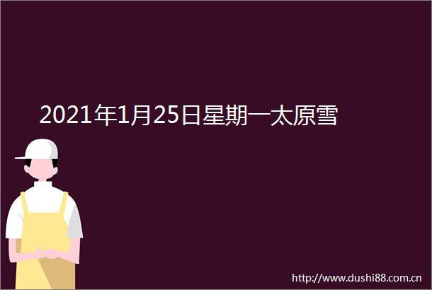 2021年1月25日星期一太原雪